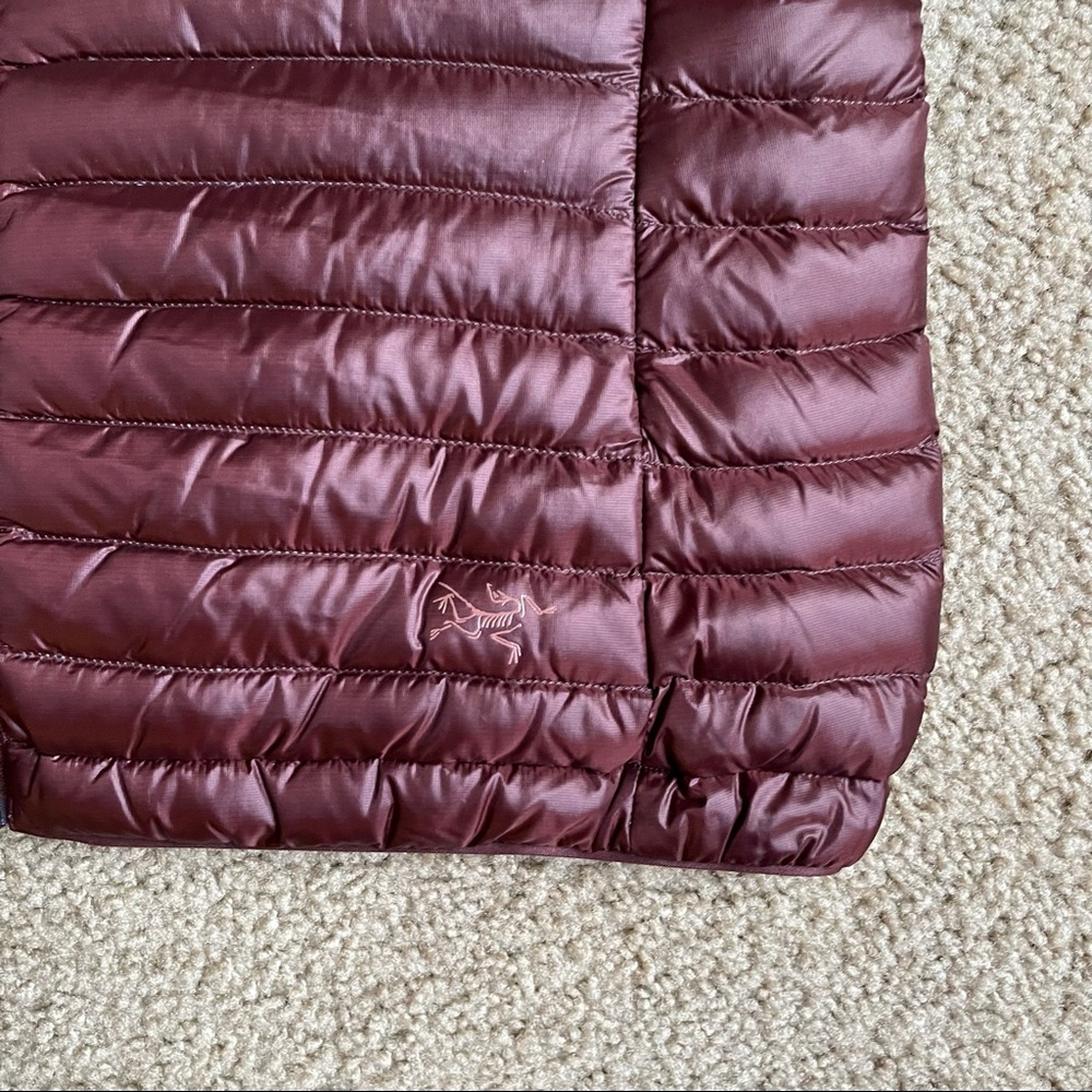 Arc'teryx Nexis Down Vest Sz S - Picture 9 of 14